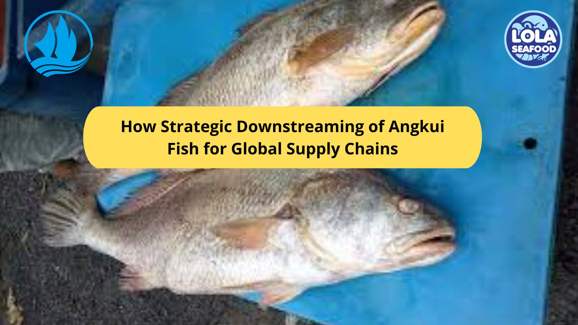 How Strategic Downstreaming of Angkui Fish for Global Supply Chains